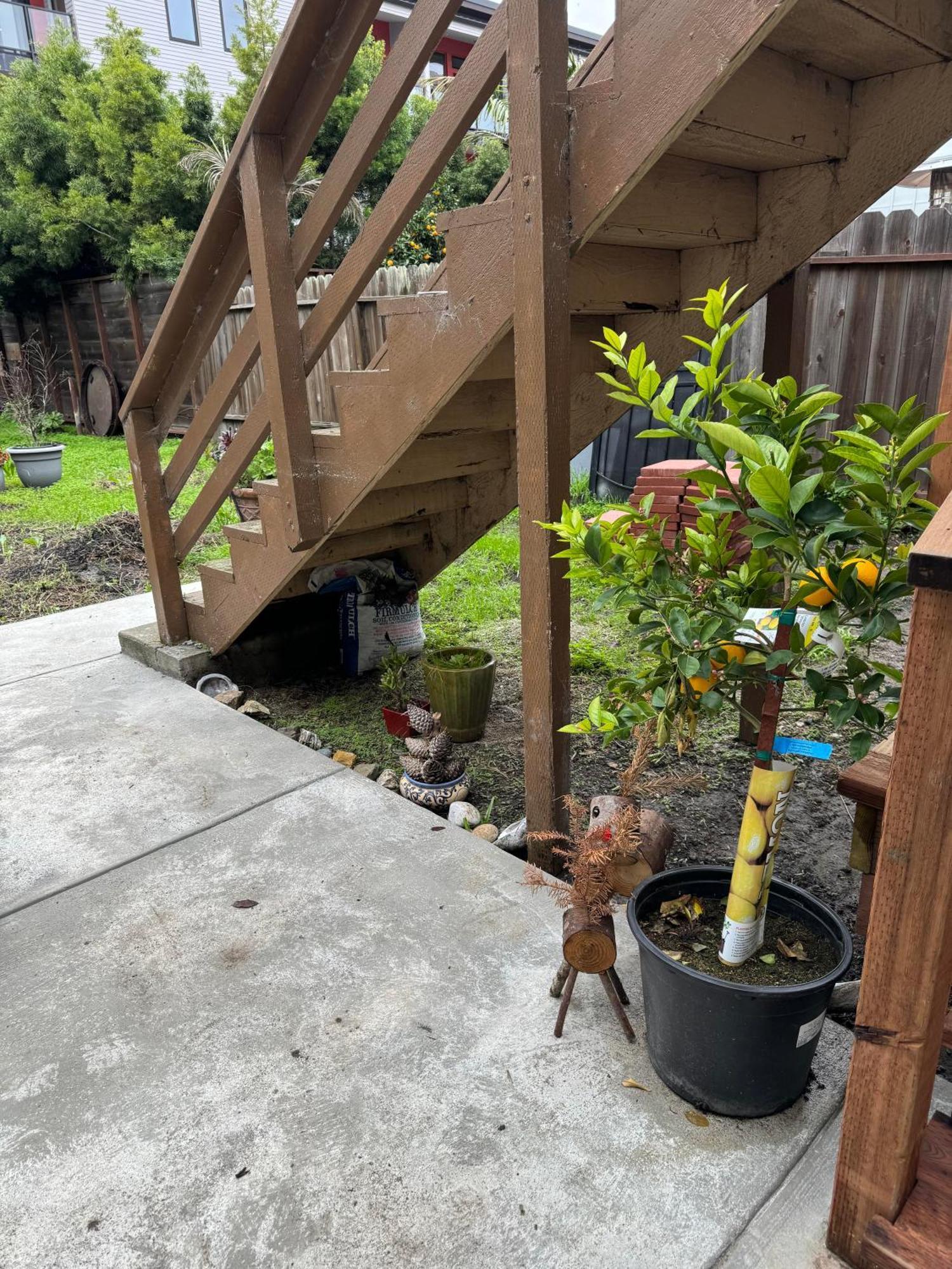 Bumblebee House Oakland Exterior foto